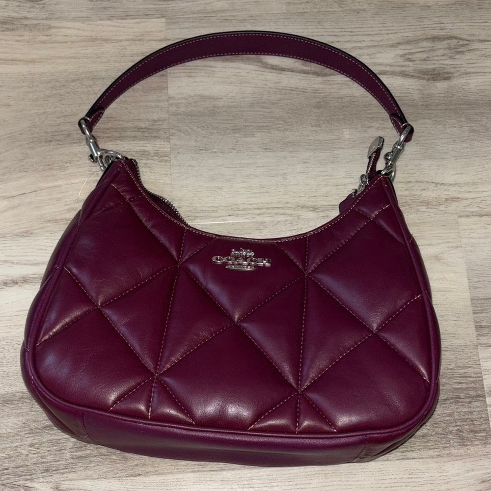 Teri Hobo Bag With Puffy Diamond Quilting - Picture 4 of 6